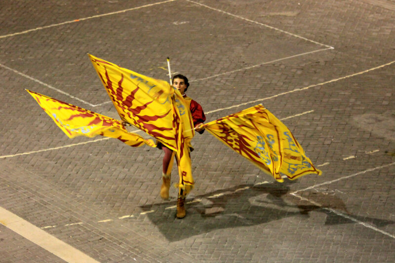 FPD_CF_01371